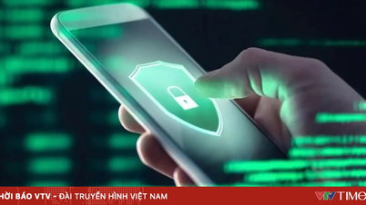 Los bancos advierten sobre estafas que utilizan números de teléfono falsos para defraudar a los clientes.