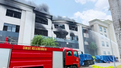 L'incendie du parc industriel Nhon Trach 6 a été maîtrisé à temps.