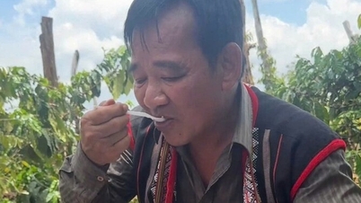 화가 꽝 테오의 고난과 칸 린이 어머니가 된 후 보여준 놀라운 변화를 담은 사진들.