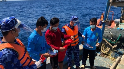 IUU ماہی گیری کا مقابلہ کرنے اور ماہی گیری کے شعبے کی پائیدار ترقی کو فروغ دینے پر قومی اسٹیئرنگ کمیٹی کو مضبوط بنانا۔