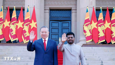 Nieuwe impuls voor samenwerking tussen Vietnam en Sri Lanka