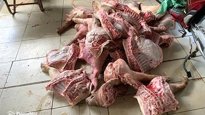 Stel een interdepartementale taskforce in om de situatie rond illegale dierenslachting te onderzoeken.