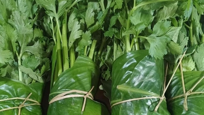 Không thể phát triển xanh với lối sống “nâu”