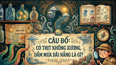 ຄຳຕອບຂອງປິດສະໜາ: ສັດຊະນິດໃດມີຊີ້ນທີ່ບໍ່ມີກະດູກ ແລະ ຕາກແດດ?