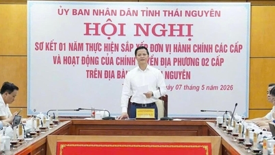 Resumo de um ano de reorganização da unidade administrativa e implementação de um governo local de dois níveis em Thai Nguyen: Avaliação dos resultados com base em dados reais e produtos concretos.
