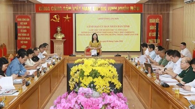 Товарищ Чан Тхань Нхан, заместитель председателя Народного комитета провинции, сотрудничал с Департаментом по делам этнических меньшинств и религий.
