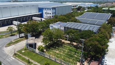 Sức bật mới của doanh nghiệp