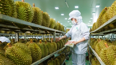 De meest recente lijst van door China erkende laboratoria voor cadmiumtesten in durian.