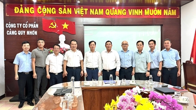 Quy Nhon Port strengthens connectivity and develops integrated logistics with Hai Phong and Cam Ranh.