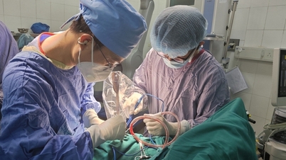 Un jeune garçon a été transporté d'urgence aux urgences après qu'un couteau se soit logé dans sa tête alors qu'il jouait.