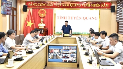 Tuyen Quang 2026 تک اپنے زمینی ڈیٹا بیس کو مکمل کرنے کی کوشش کر رہا ہے۔