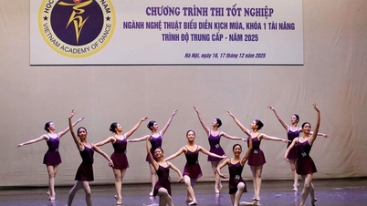 دفعة قوية للتنمية الثقافية المتعمقة.