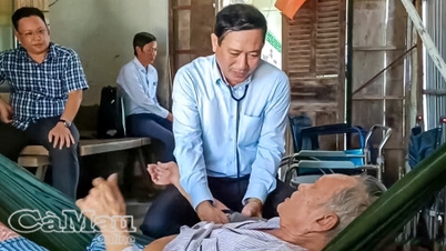31 years dedicated to primary healthcare.