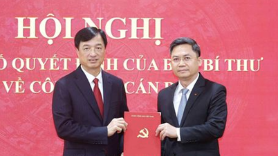 O camarada Ha Minh Hai ocupa o cargo de Vice-Chefe do Departamento de Organização Central.