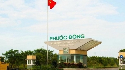 Đầu tư Sài Gòn VRG sắp trả hơn 968 tỷ đồng cổ tức đợt 2 năm 2025