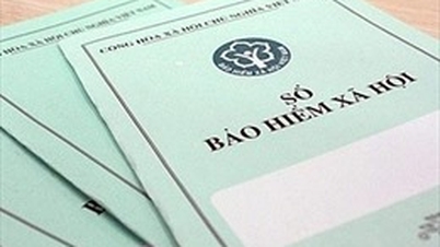 Η επαρχία Κουάνγκ Νγκάι διεξάγει έρευνα για παρατεταμένο ασφαλιστικό χρέος που προκαλεί δυσαρέσκεια στους εργαζόμενους.