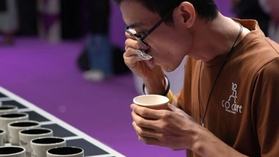 O primeiro vietnamita a vencer o campeonato mundial de degustação de café: alguns segundos de atraso significaram eliminação.