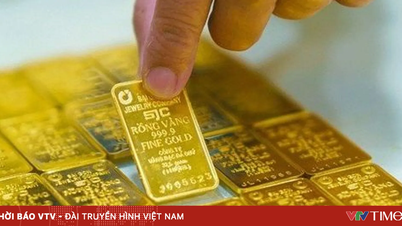 Harga emas SJC jatuh lebih daripada 2 juta VND/auns.