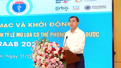 Khởi động Chương trình điều tra đánh giá nhanh tỷ lệ mù lòa tại Việt Nam