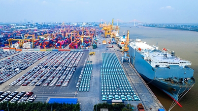 Tan Vu Port is now handling two large-scale RoRo vessels simultaneously for the first time.
