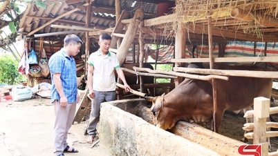 চিয়েং লা পশুপালন সম্প্রসারণ করে।