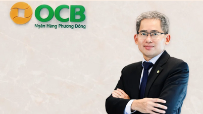 Waarom nam de heer Pham Hong Hai na twee jaar ontslag als CEO van OCB?