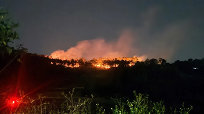 Warm weer verhoogt in veel gebieden het risico op bosbranden.