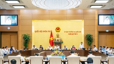 ស្តាប់ យល់ និងដោះស្រាយយ៉ាងហ្មត់ចត់នូវសំណើ និងយោបល់របស់ប្រជាជន។