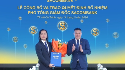 A SACOMBANK megerősíti felsővezetői csapatát.