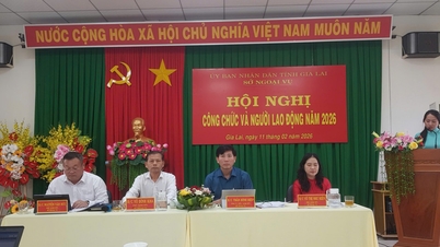 Das Außenministerium der Provinz Gia Lai organisierte die Konferenz 2026 für Beamte und Angestellte.