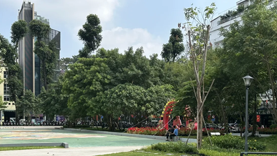 Ho-Chi-Minh-Stadt nutzt Brachflächen zur Anlage von Parks und Spielplätzen.