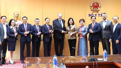 Bộ trưởng Bộ Y tế Đào Hồng Lan tiếp, làm việc với Chủ tịch Liên đoàn Nha khoa Thế giới
