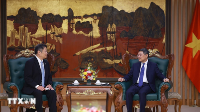 Premier Le Minh Hung przyjmuje gubernatora prefektury Yamanashi w Japonii.