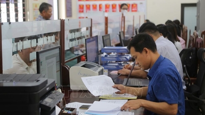 Hai Phong secara konsisten menduduki tempat teratas dalam kedua-dua PAR INDEX dan SIPAS.