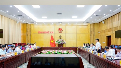 The working group of the Economic and Financial Committee visited Nghe An.