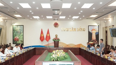 Provinsi Lam Dong bekerja sama dengan Grup Industri Karet Vietnam.