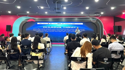 Chính thức “chuyên nghiệp hóa” nghề sáng tạo nội dung tại Việt Nam