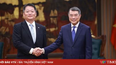 Vietnam a Japonsko posilují spolupráci v oblasti zelené energie.