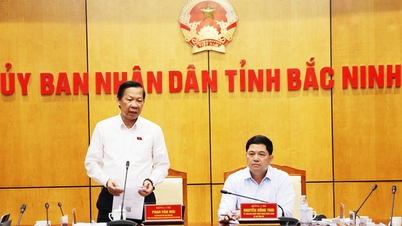 Delegace Národního shromáždění prověřuje realizaci dvouciferného růstu v Bac Ninh.