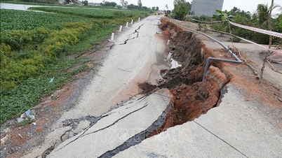 タイニン省は、ロガック川の堤防沿いで発生した地滑りの原因を特定した。