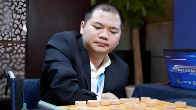 A wheelchair-bound chess player is taking the Chinese chess world by storm.