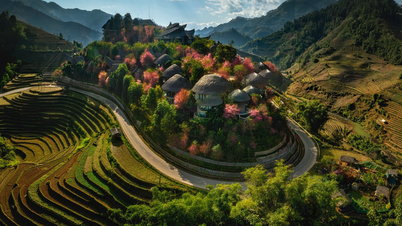 Garrya Mu Cang Chai a été présélectionnée pour le prix Tatler Best of the Best 2026.