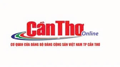 Can Tho compte plus de 10 390 hectares qui ont reçu des codes de zone de plantation.