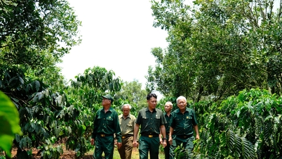 ทหารผ่านศึกที่ประกอบกิจกรรมทางเศรษฐกิจ