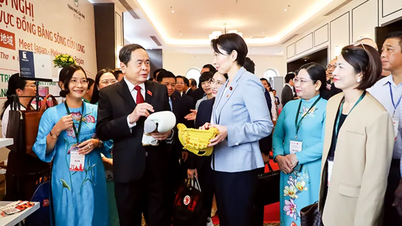 Podpora komplexního strategického partnerství mezi Vietnamem a Japonskem.