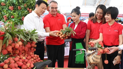 De wedstrijd "Bac Ninh Lychee - Zoet fruit dat het woord verspreidt" is van start gegaan.