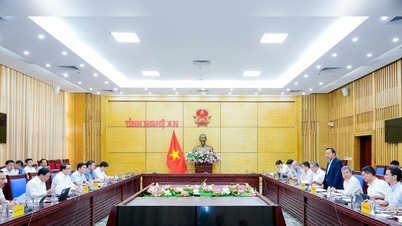 EVN está incrementando la inversión en la red eléctrica para contribuir al desarrollo socioeconómico de la provincia de Nghe An.