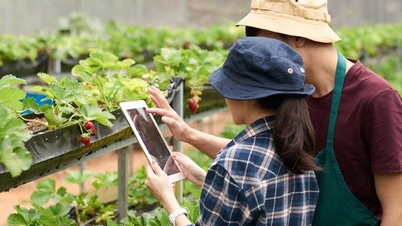 Hướng tín dụng vào nông nghiệp xanh, nông nghiệp số