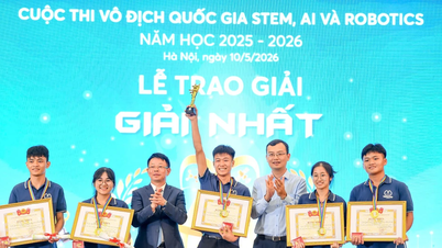 Se han anunciado los campeones nacionales en ciencia, tecnología, ingeniería y matemáticas (STEM), inteligencia artificial (IA) y robótica.
