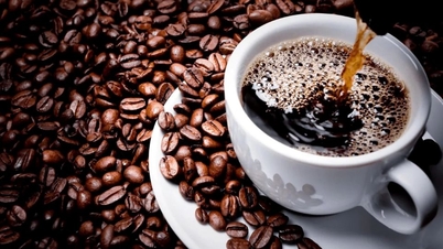 Jordbruksråvarupriserna den 12 maj: Peppar behåller sin topp, kaffe minskar något.